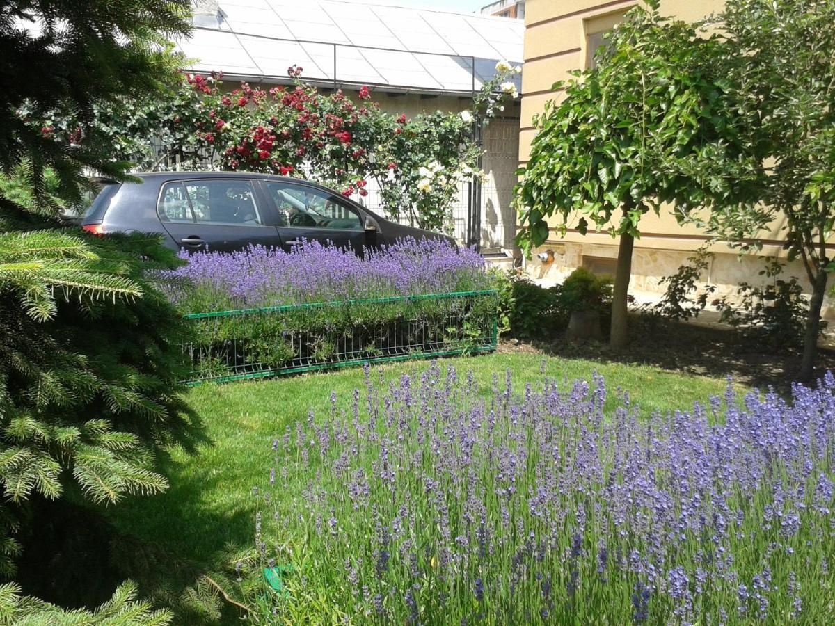 Casa Edwin Bed & Breakfast Constanţa Eksteriør bilde